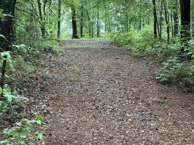 391 Angel Rd, Amity, AR 71921