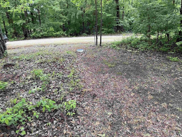 391 Angel Rd, Amity, AR 71921