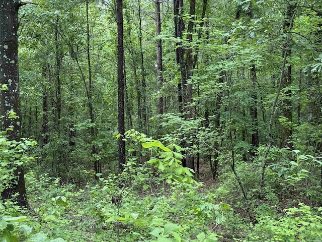 391 Angel Rd, Amity, AR 71921