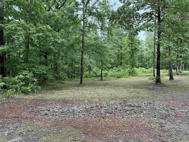 391 Angel Rd, Amity, AR 71921