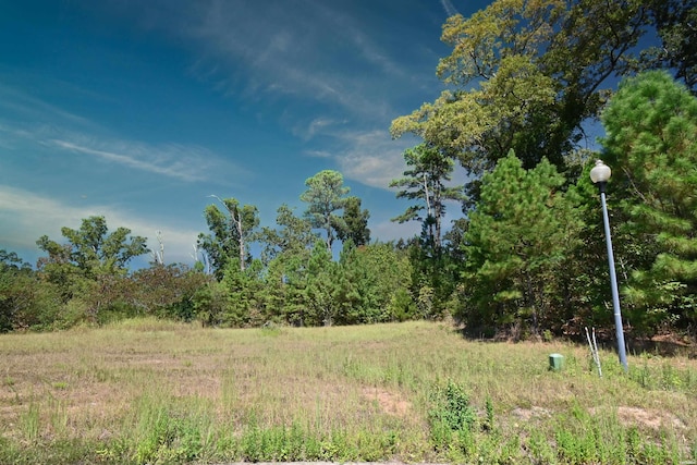 TBD Autumn Ridge Cir, Hot Springs, AR 71901