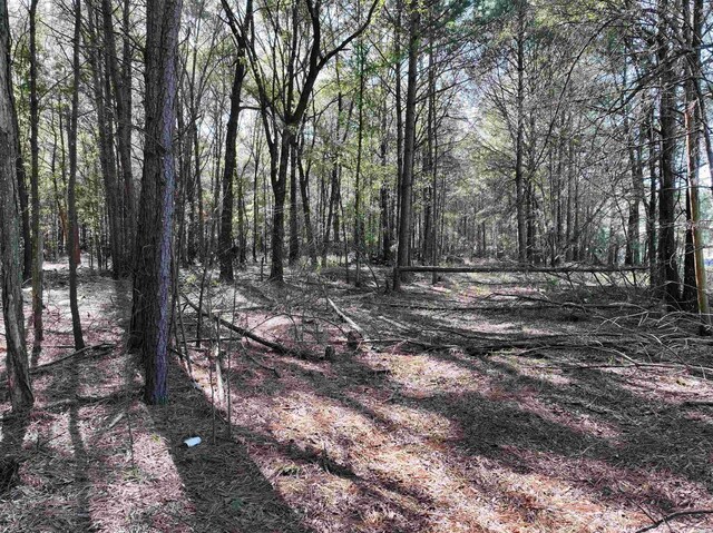 Listing photo - caption unavailable