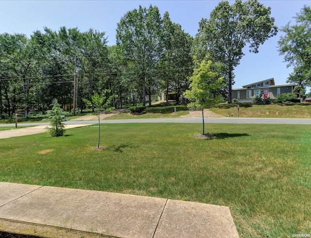 136 Arlington Dr, Hot Springs, AR 71013 - photo 36