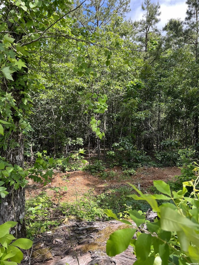 XXLOT1 Rosboro, Glenwood AR, 71943 land for sale