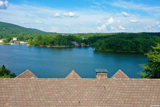 280 Overview Cir, Hot Springs, AR 71913 - water view with a forest