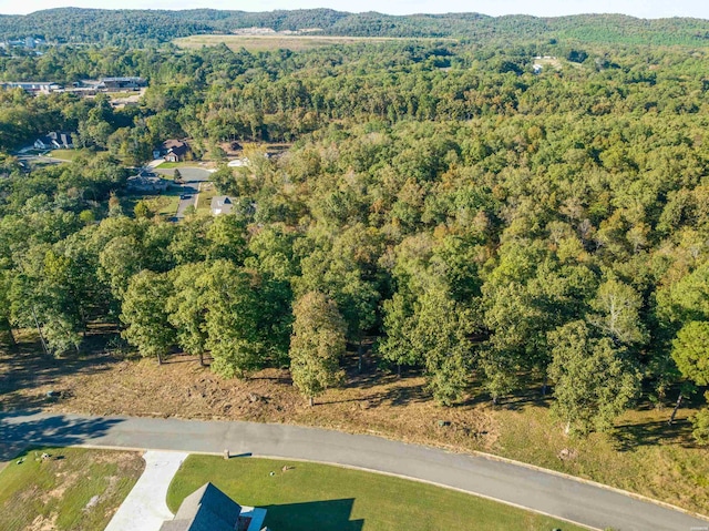 LOT42 Windsong Bay Dr, Hot Springs, AR 71901 - photo 3