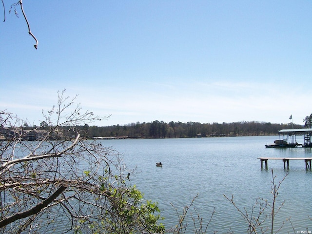 000 Big Duke Cir, Hot Springs, AR 71913 - photo 2
