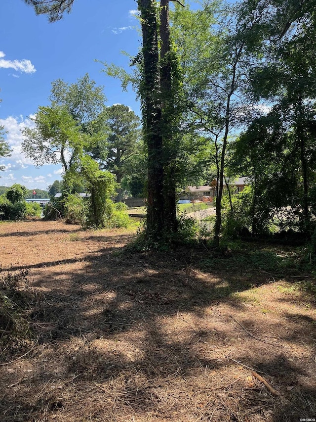 000 Big Duke Cir, Hot Springs, AR 71913 - photo 17