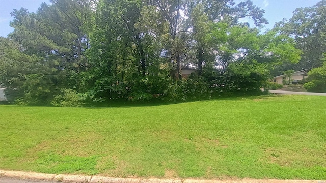 00 Poinsettia, Hot Springs, AR 71913