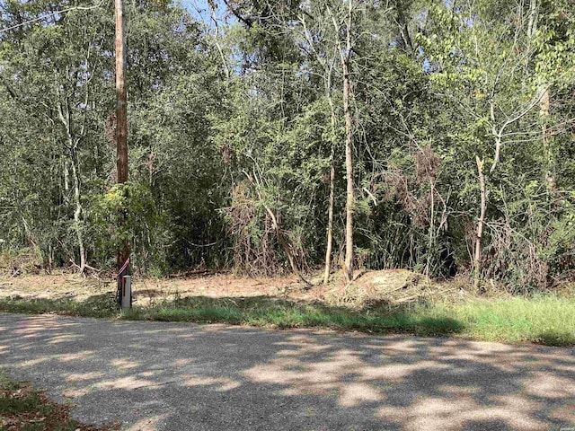 LOTS35 Maricopa Rd, Royal, AR 71968 - photo 7