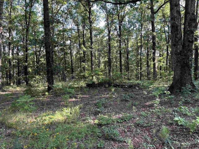 61 Hay Rd, Glenwood, AR 71943 - photo 21
