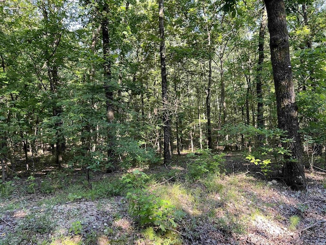 61 Hay Rd, Glenwood, AR 71943 - photo 25