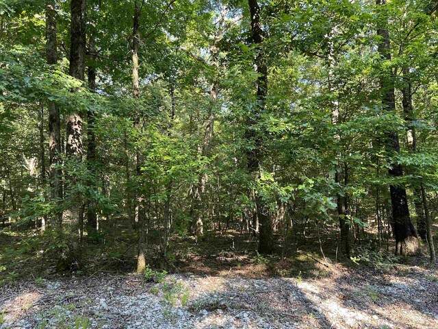 61 Hay Rd, Glenwood, AR 71943 - photo 23