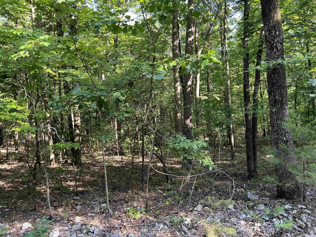 61 Hay Rd, Glenwood, AR 71943 - photo 19
