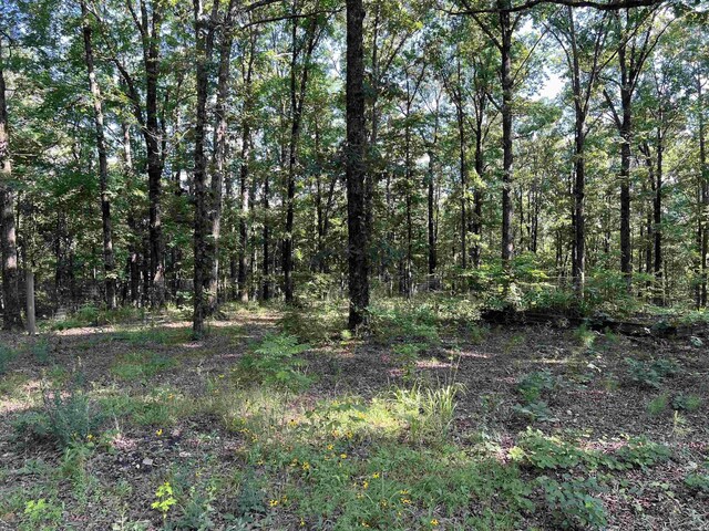 61 Hay Rd, Glenwood, AR 71943 - photo 22