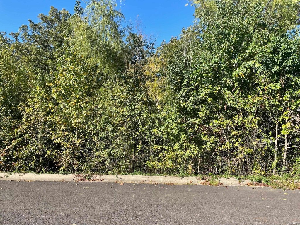 TBD Oak Creek Dr, Hot Springs, AR 71901