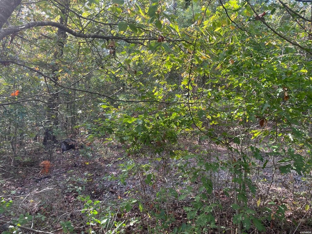 TBD Oak Creek Dr, Hot Springs, AR 71901