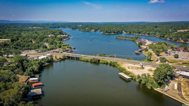 aerial view featuring a water view and a view of trees