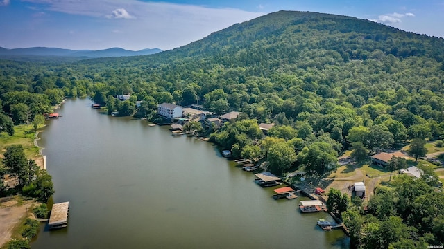 birds eye view of property featuring a view of trees and a water and mountain view