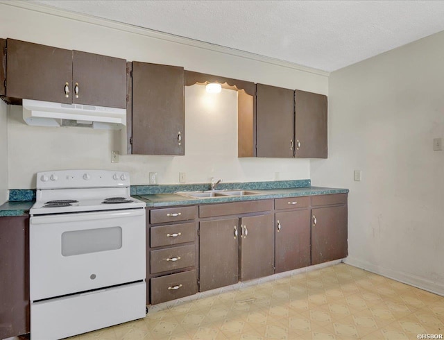 kitchen featuring electric stove, light floors, dark brown cabinets, under cabinet range hood, and a sink