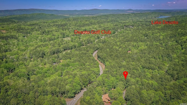 birds eye view of property with a view of trees and a mountain view