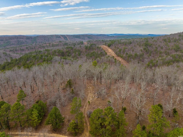 Listing photo 3 for TBD Cedar Creek Rd, Hot Springs AR 71901