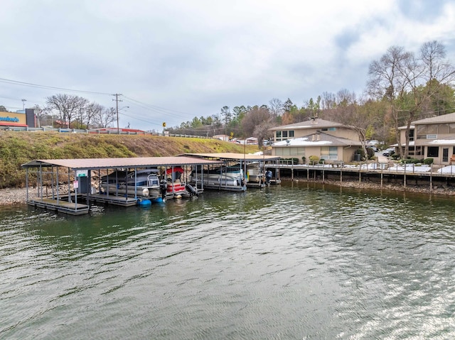 dock area with a water view