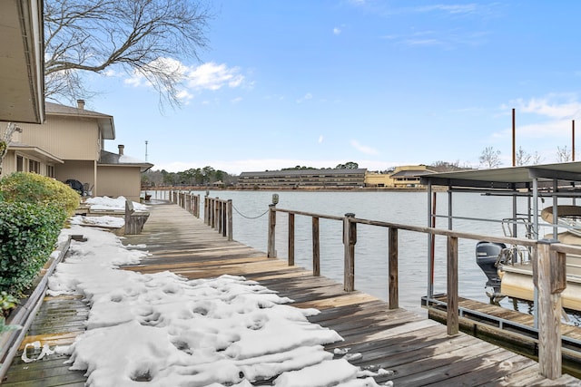 dock area with a water view