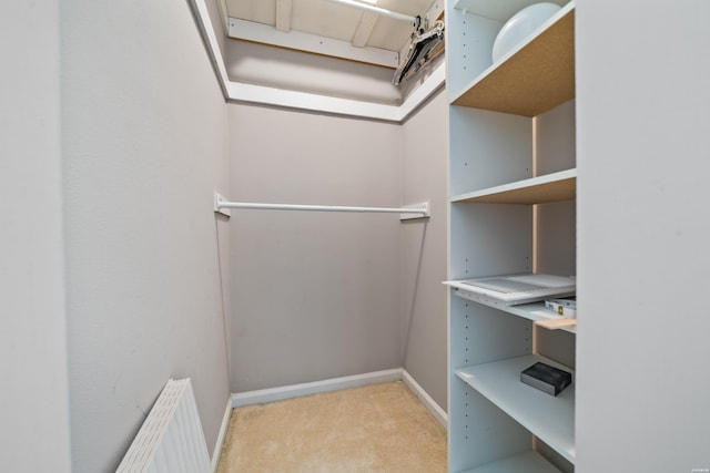 walk in closet with radiator heating unit and light colored carpet