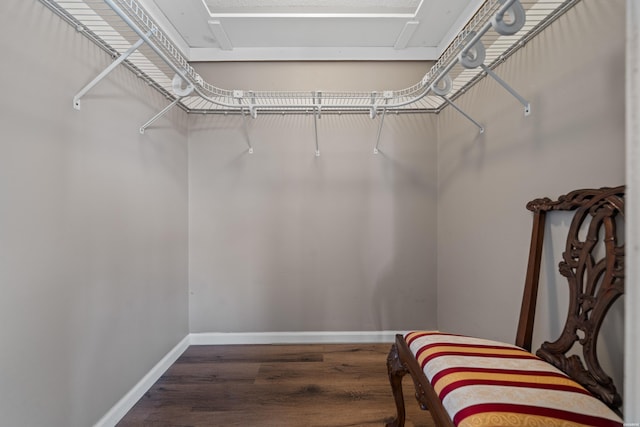 walk in closet with dark wood-style floors