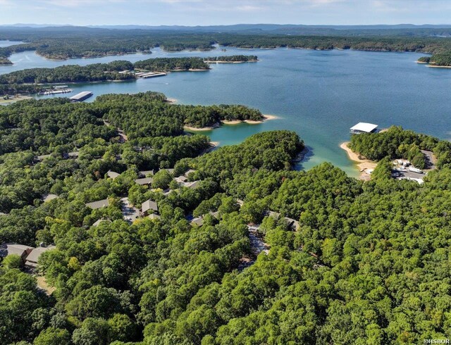 8 Redbird Ln Unit D, Mount Ida, AR 71957 - bird's eye view of a forest and a large body of water