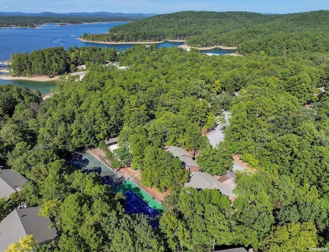 8 Redbird Ln Unit D, Mount Ida, AR 71957 - aerial overview of property's location with a forest and a water and mountain view
