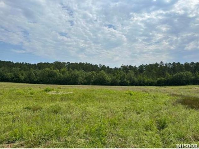 view of local wilderness with a rural view and a forest view