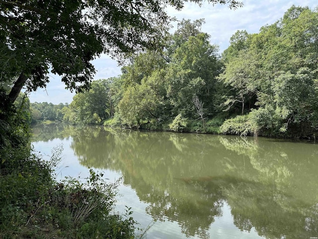 water view with a view of trees