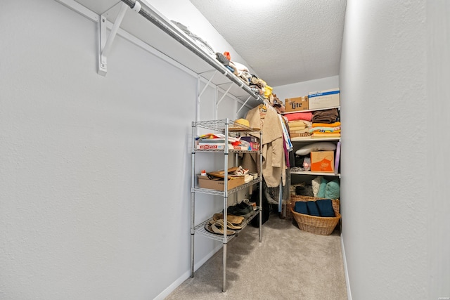 1135 Twin Points Rd Unit D, Hot Springs, AR 71913 - view of storage