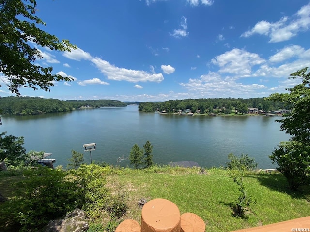 water view featuring a forest view