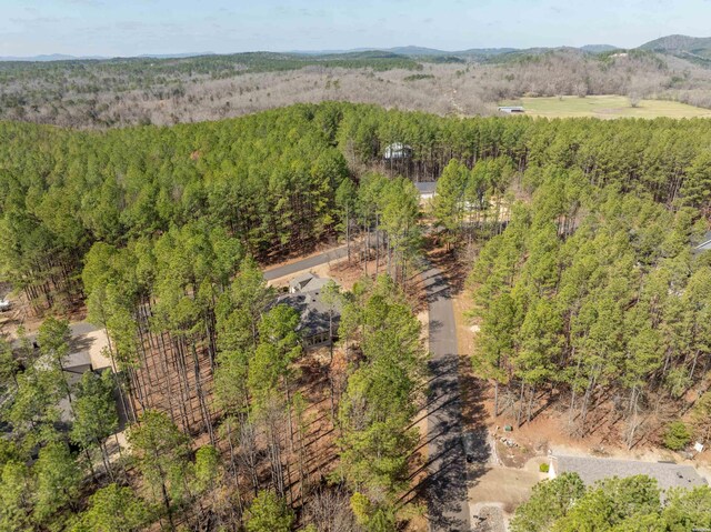 aerial view with a forest view