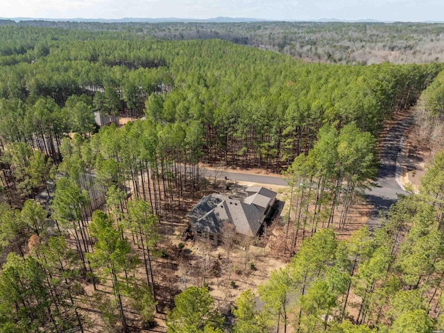 bird's eye view with a forest view