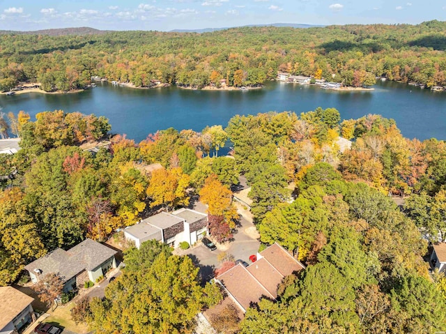 bird's eye view with a water view and a view of trees