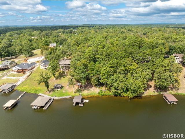 birds eye view of property with a water view and a forest view