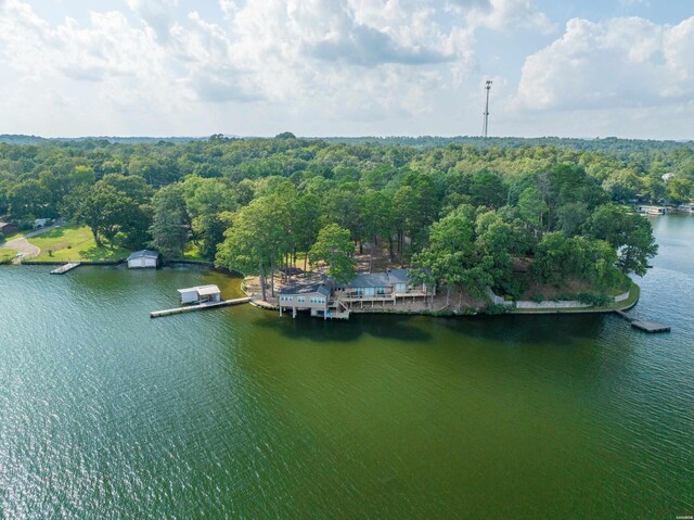 bird's eye view with a water view and a view of trees