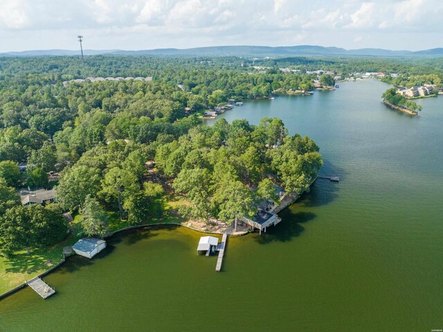 drone / aerial view with a forest view and a water and mountain view