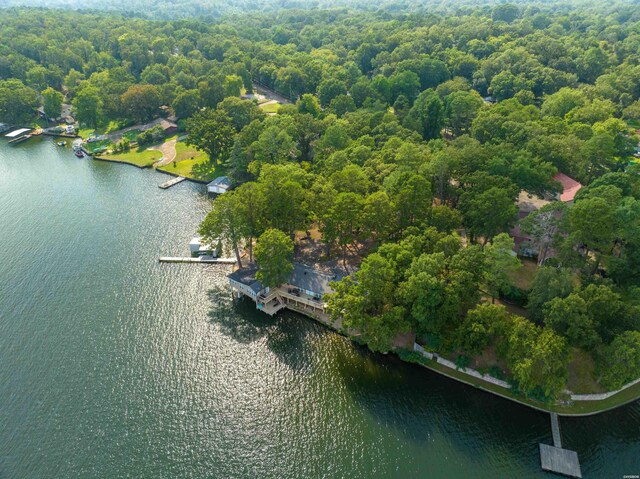 birds eye view of property featuring a water view and a forest view