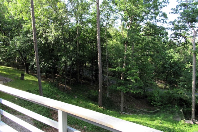 55 Cullerendo Way, Hot Springs Village, AR 71901 - photo 43