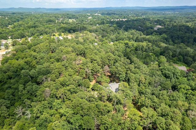 174 Fontana Rd, Hot Springs, AR 71901 - photo 7