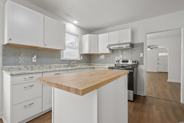 kitchen with under cabinet range hood, wood counters, a sink, dark wood-style floors, and stainless steel range with electric cooktop