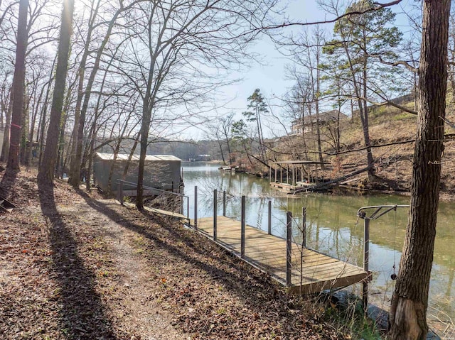 dock area with a water view