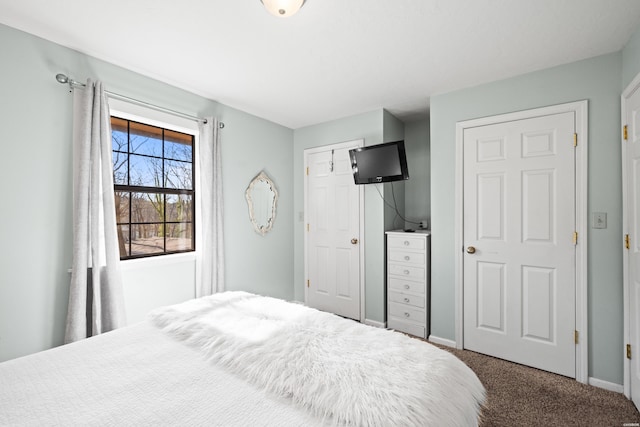 carpeted bedroom with a closet and baseboards