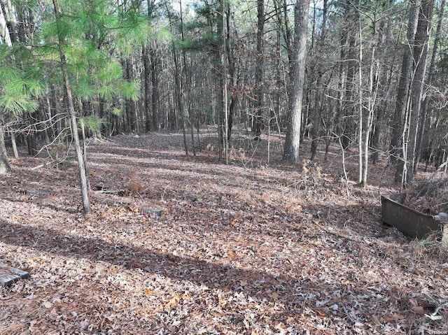 81 End Of Trail Rd, Mount Ida, AR 71957 - view of road with a forest view