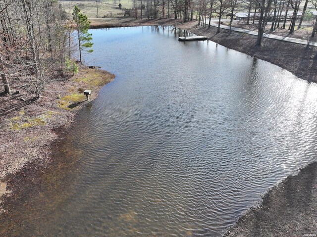 81 End Of Trail Rd, Mount Ida, AR 71957 - water view